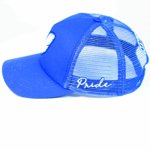 FEATHER  BLUE  CAP - Image 2
